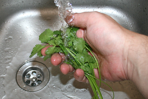54 - Koriander waschen / Wash cilantro