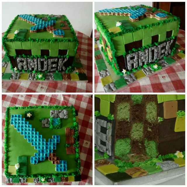 Minecraft cake by Jola Gebska