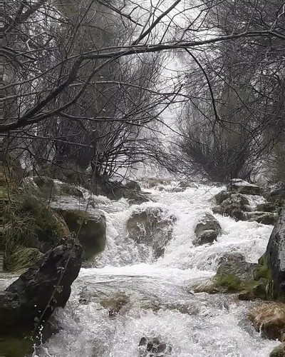 Villaescusa de Ebro (Cantabria)