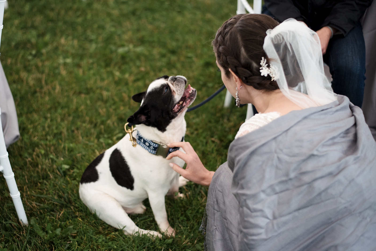 Dogs at weddings are always a good idea on juliettelauraphotography.blogspot.com