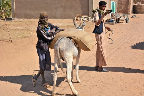 amentego northernstate sudan