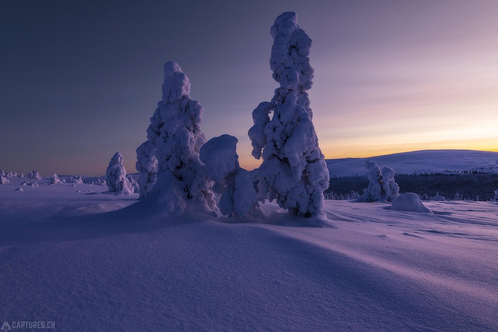 Cold morning - Lapland