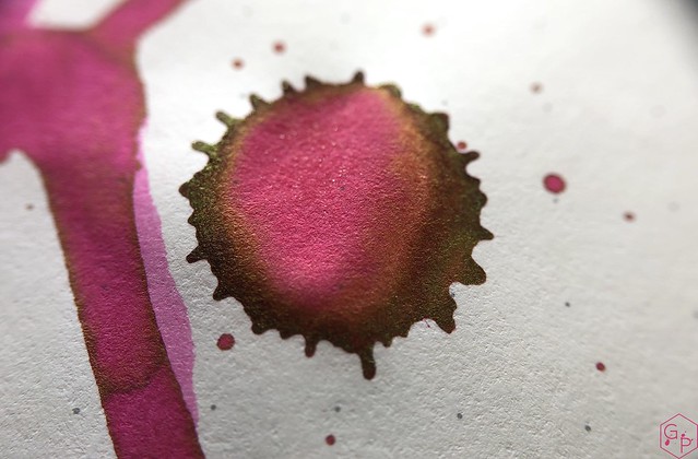 Ink Shot Review @LAMY Vibrant Pink 2018 Ink @laywines 25