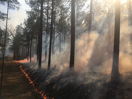 goodfire prescribedfire controlledburn nationalforests