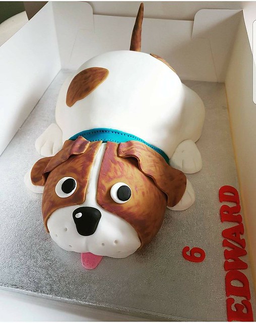 Cute Dog Cake by Claire Borg