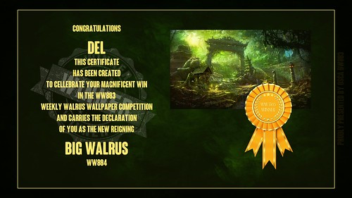 WW803_Winners_Certificate_Del