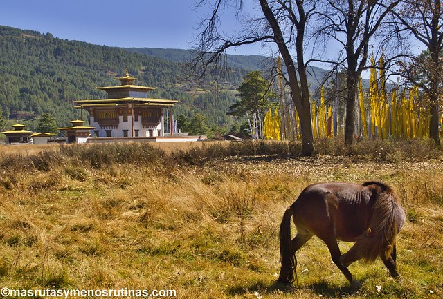 Bumthang: Festival Jambey en el valle espiritual de Bután - Por los monasterios y bosques de BUTAN (9)