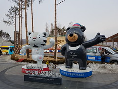 2018 PyeongChang Olympic Games 14 02