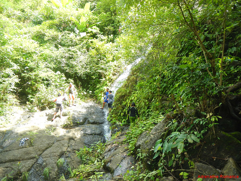 Trailside waterfall