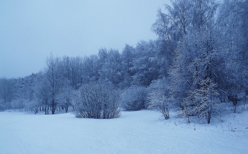winter cold lietuva lithuania