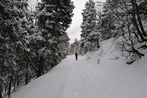 utah uintawasatchcachenationalforest winter hiking snow snowshoeing forest nikond7100 nikkor1224mmf4g 1224f4