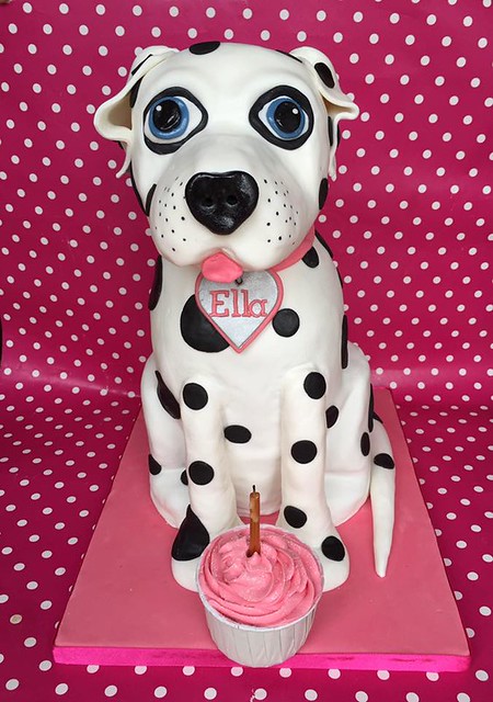 Dog Cake by Katy's Cakes