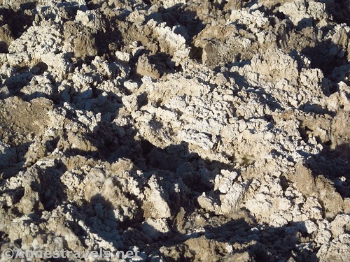 Not many crystals, but cool mud formations near the boardwalk at Badwater Basin in Death Valley National Park, California