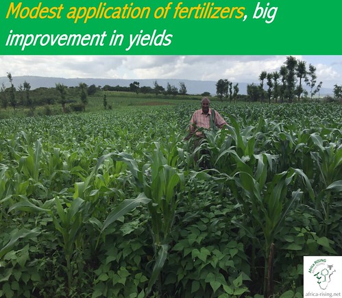 Modest application of fertilizers: a game changer in key ecozones!