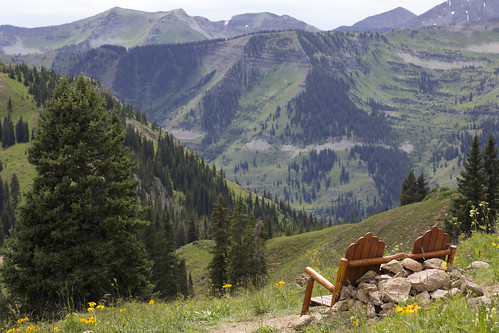 bench wildflowers landscape scenic wilderness mountains valley conifers peak ridge mountainside