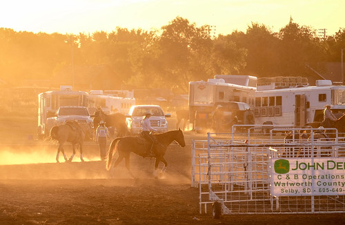 rodeo southdakota trailer horse sunset mobridge unitedstates us dscf2678
