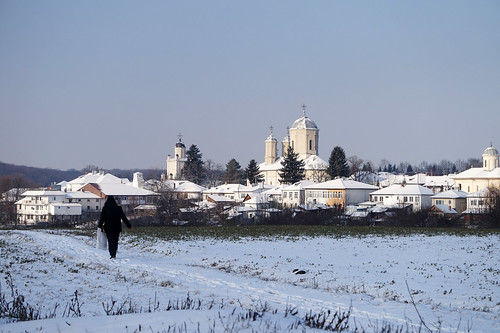 pasărea ilfov peisaj church românia zăpadă iarnă winter alpha5000 sony