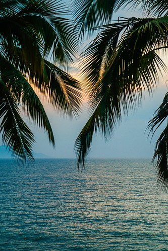 bahíadebanderas bayofbanderas jalisco mexico pacific pacificocean puertovallarta ocean palm palmtree water tropical