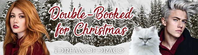 Double-Booked Banner 1