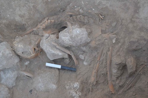 adult skeleton-Merneptah LB desruction