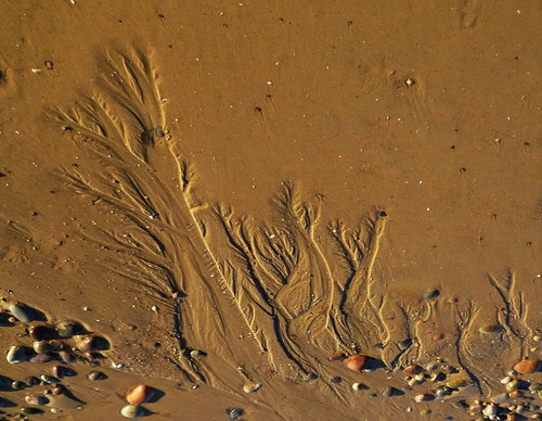 sand art water marks shells nature beach lossiemouth scotland winter