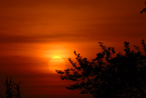 sunset sunrise sky sun red morning evening trees nikon golden d200 cb1956 minnesota adobephotoshopelements90
