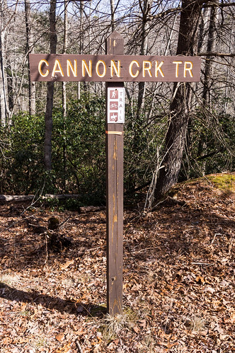 Cannon Creek Trail - 03