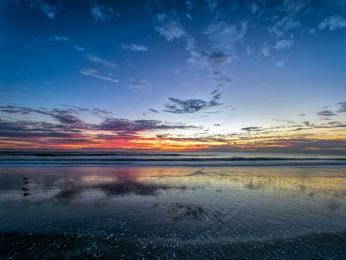 usa sunrise nature water hires surf ©edrosack panorama florida beach ocean reflection olympus cloud bird highres sky seascape 35gullsternsandskimmers landscape cocoa centralflorida cloudy dawn shore cocoabeach