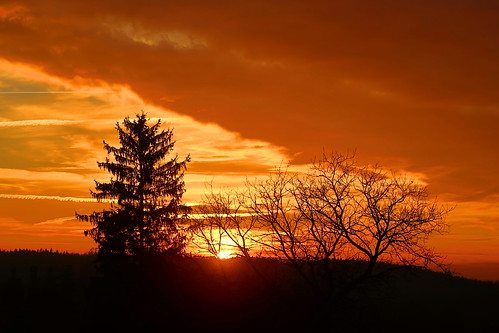 západ slunce sunset tree sky