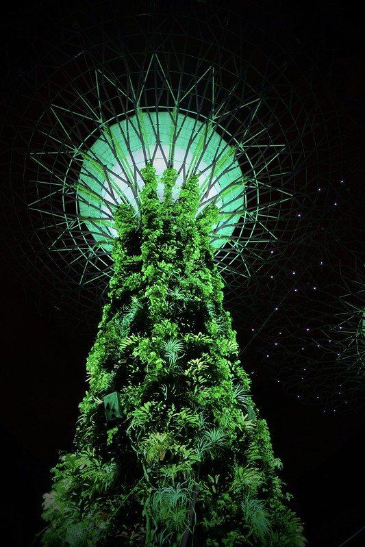 Gardens by the Bay | Night Layover in Singapore