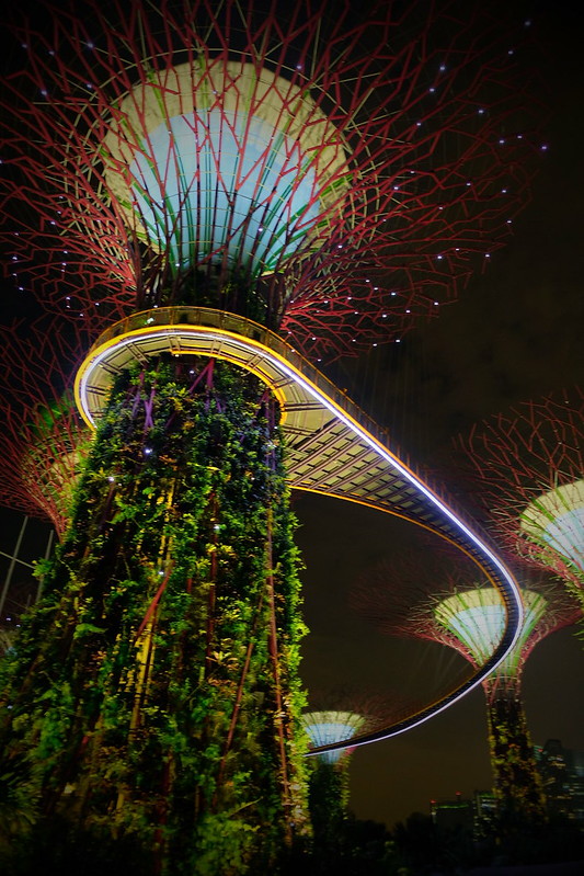 Gardens by the Bay | Night Layover in Singapore