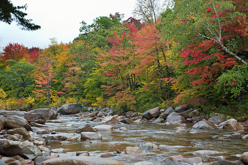 usa fall autumn newhampshire kancamagushighway nh whitemountains lincolnwoods wood trees green orange red yellow swift river