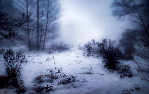 winter white foggy sony
