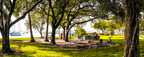 park miamibeach trees urbanexploration walking walkingaround waterways seashore bay bayview outdoors shade