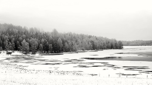 stefanorugolo pentax k5 pentaxk5 smcpentaxm50mmf17 monochrome winter landscape lake water ice snow tree forest wood sky