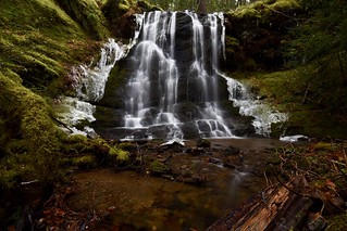 Blitzen Creek Falls - 20 ft