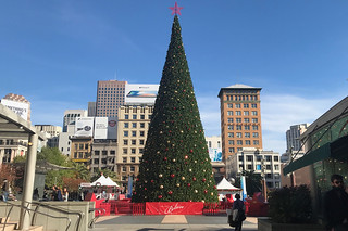 Christmas in SF - Union Square Holiday Tree day