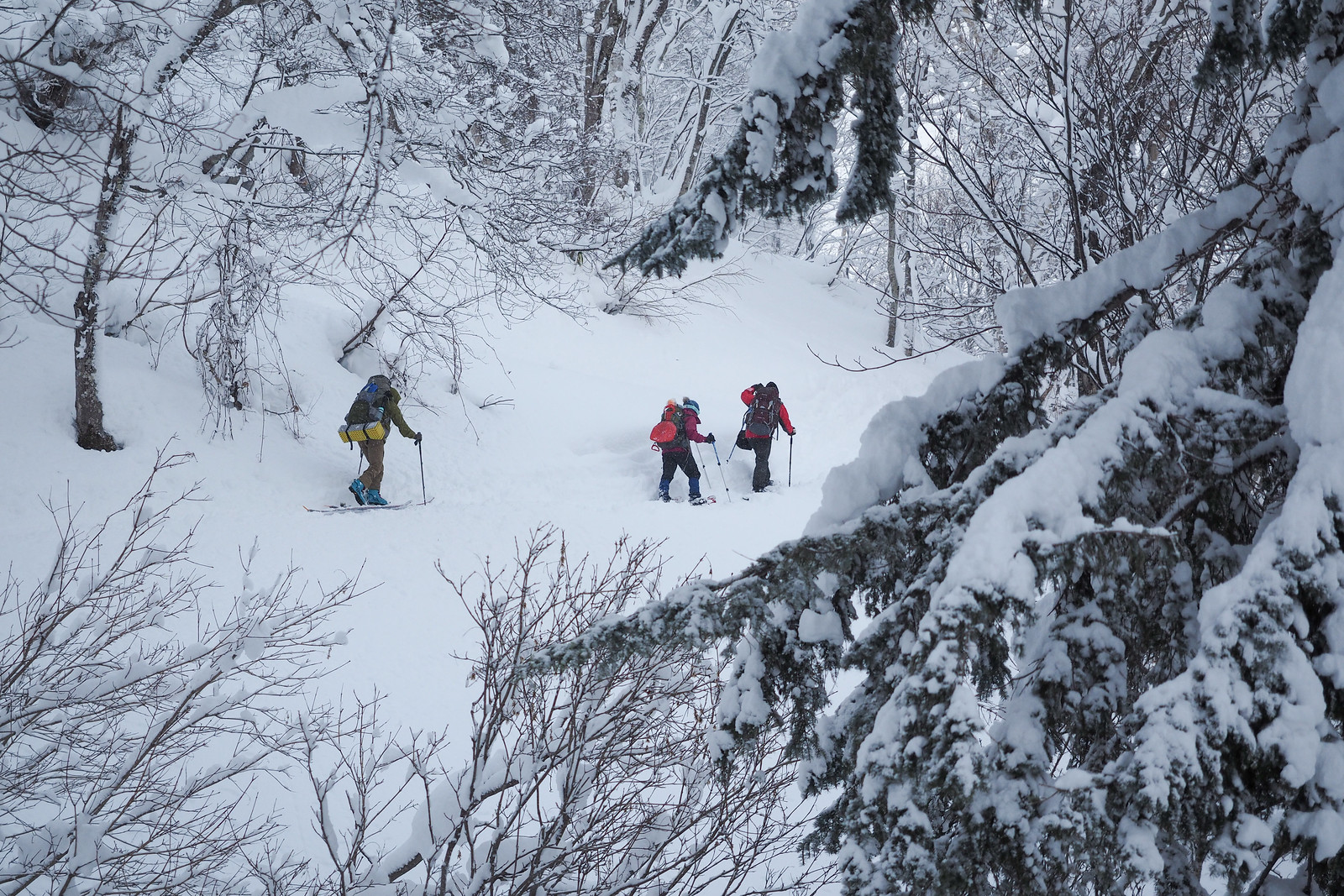 Mt. Haruka Ginreiso Hut Overnight Winter Trip Dec 2017 (Hokkaido, Japan)