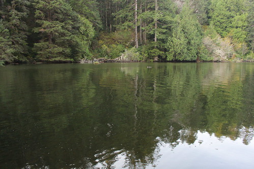 william tugman state park eel lake creek bandon coos bay north bend oregon hiking coast
