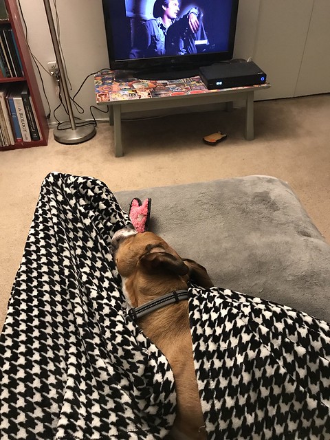 Watching TV with His Piggy
