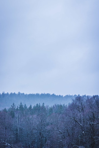 landscape latvia latvija nature outdoors sky wood winter snow travel tree daylight forest blue