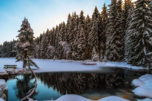 winter lake fichtelsee upper franconia water reflections spruce trees landscape