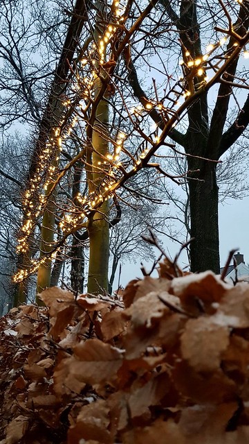 Lampjes in de boom buiten
