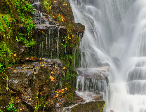 autumn brevard fall landscapemountain mountains northcarolina trees water waterfall
