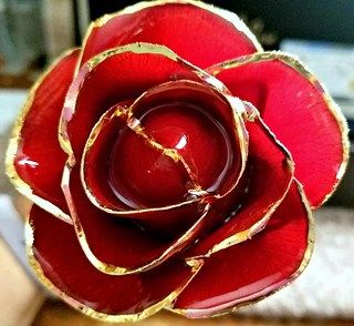 The Eternity Rose ~ The Perfect Gift