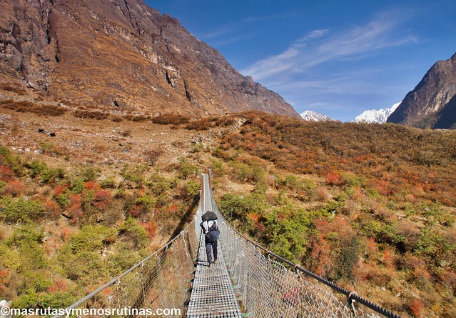 Por el cielo y el infierno de NEPAL. Trek Langtang - Blogs de Nepal - Trekking Langtang. Etapa 2: De Rimche a Langtang (5)