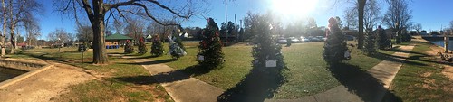 christmas trees decorations park panoramic