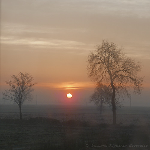 Traveling in sunrise (by train)