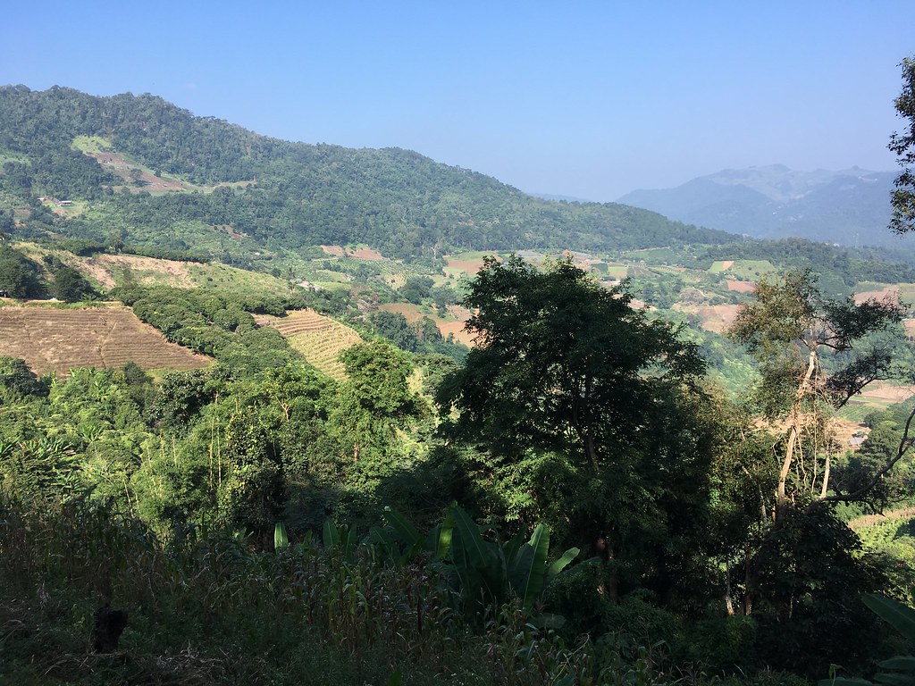 Pong Yaeng trail view