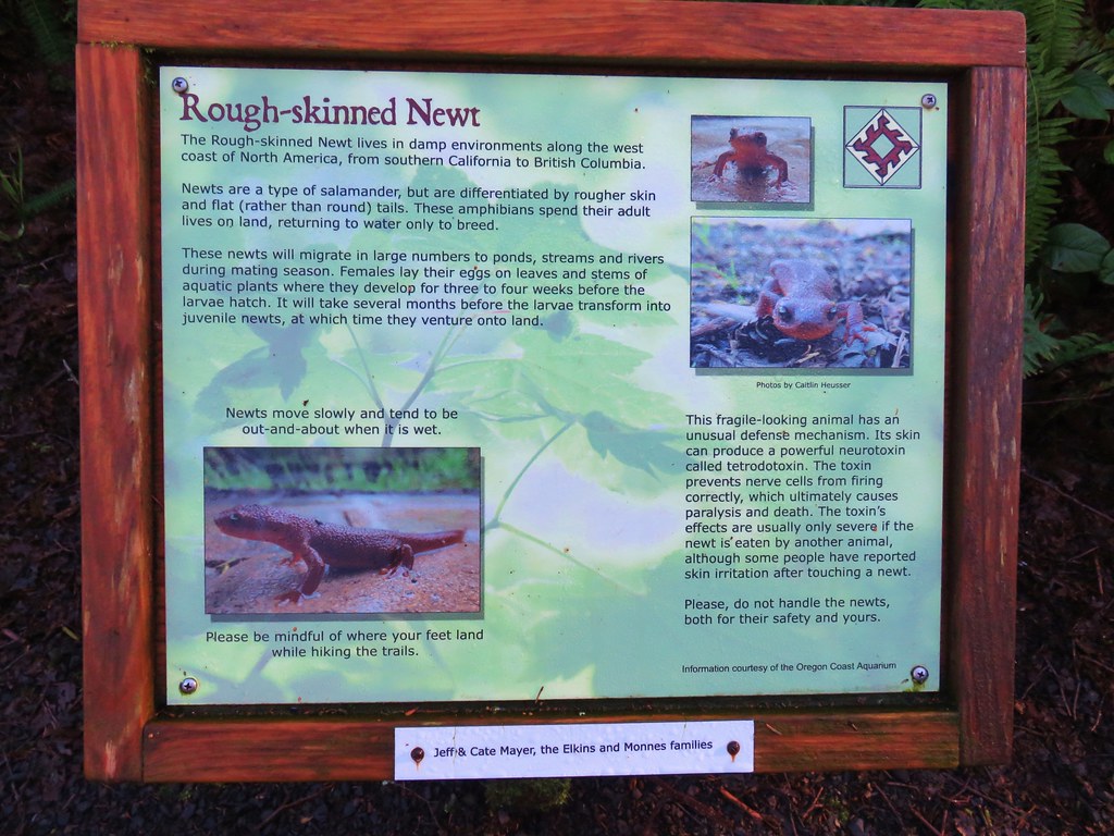 Interpretive sign at Kilchis Point Reserve